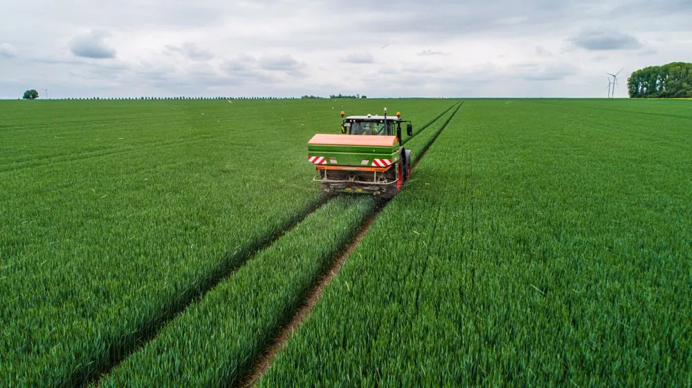 Rozsiewacz nawozów Amazone w ścieżkach technologicznych